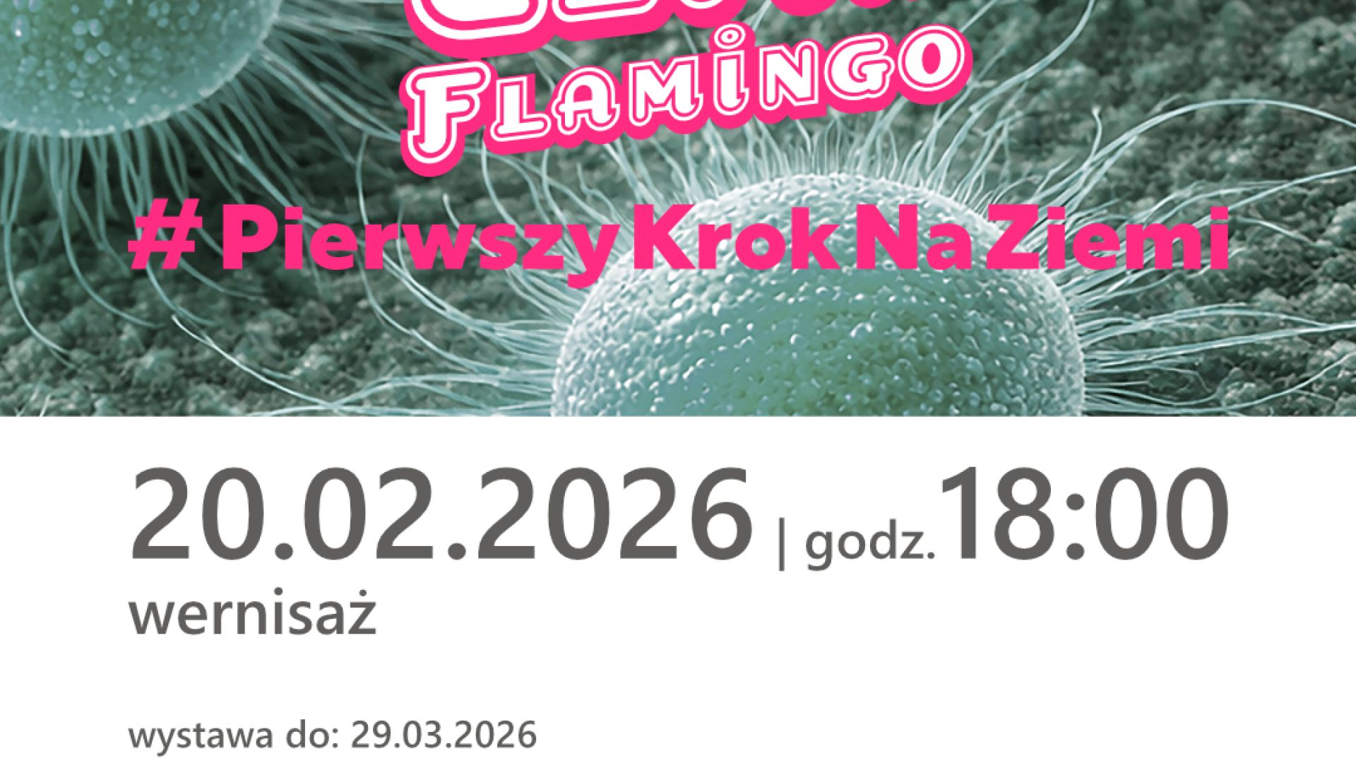 Wystawa Elvina Flamingo "#PierwszyKrokNaZiemi" w Kielcach