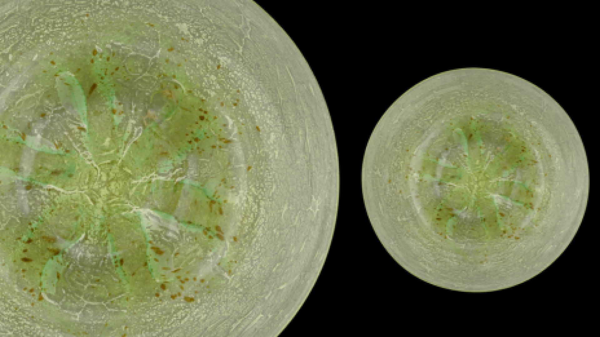 Spotkanie "Szkło uranowe fakty i mity" w Kielcach
