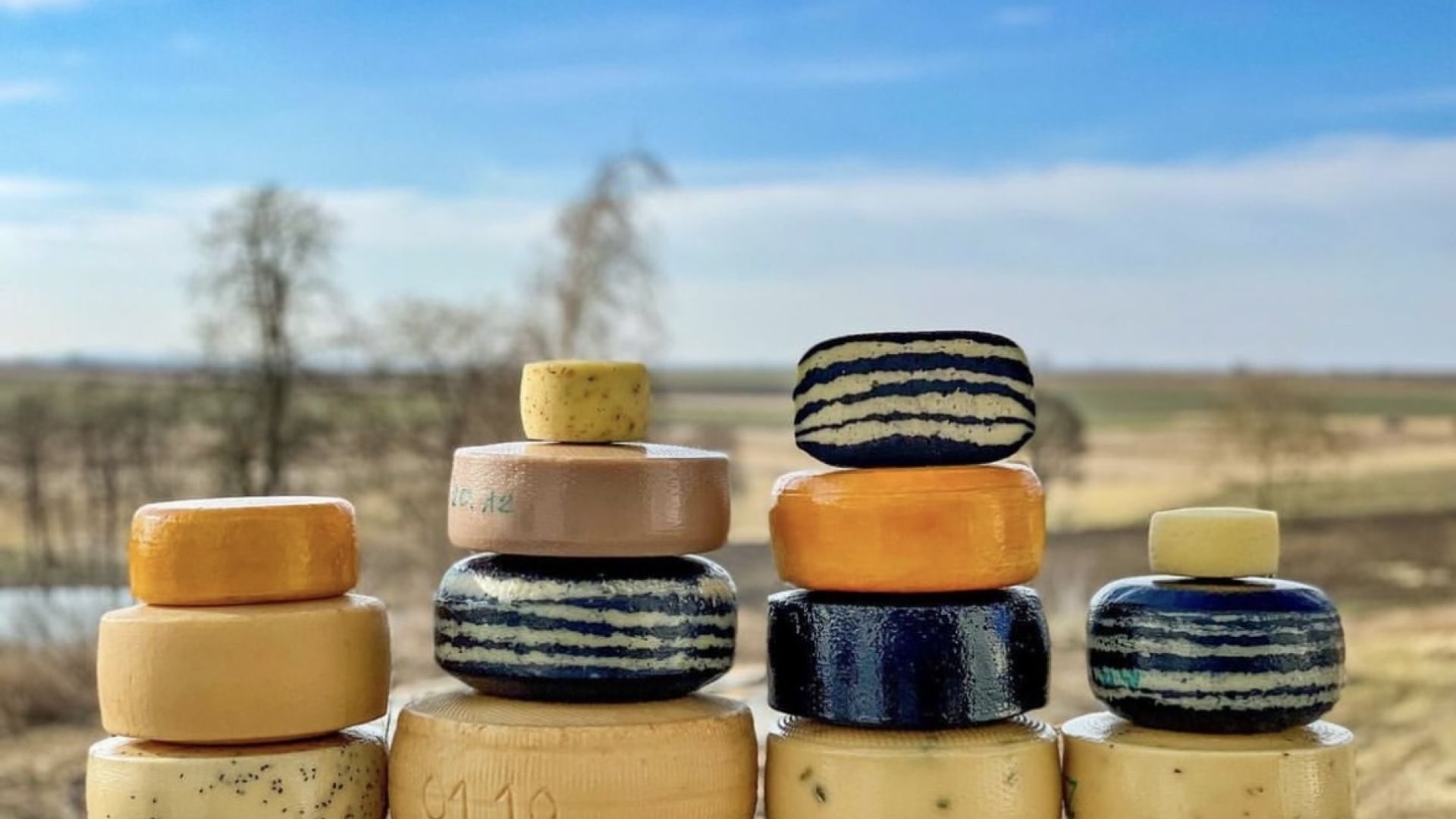 Winasera. Sandomierski Festiwal