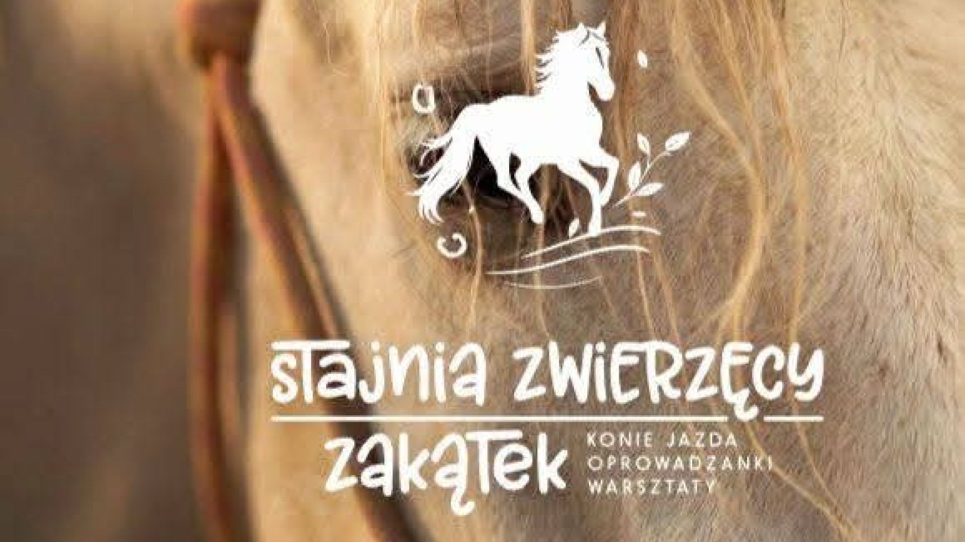 Stajnia Zwierzęcy Zakątek w Sandomierzu