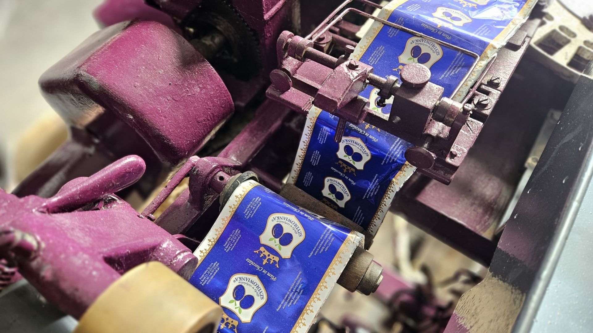 Noc w Muzeum Śliwki w Szydłowie