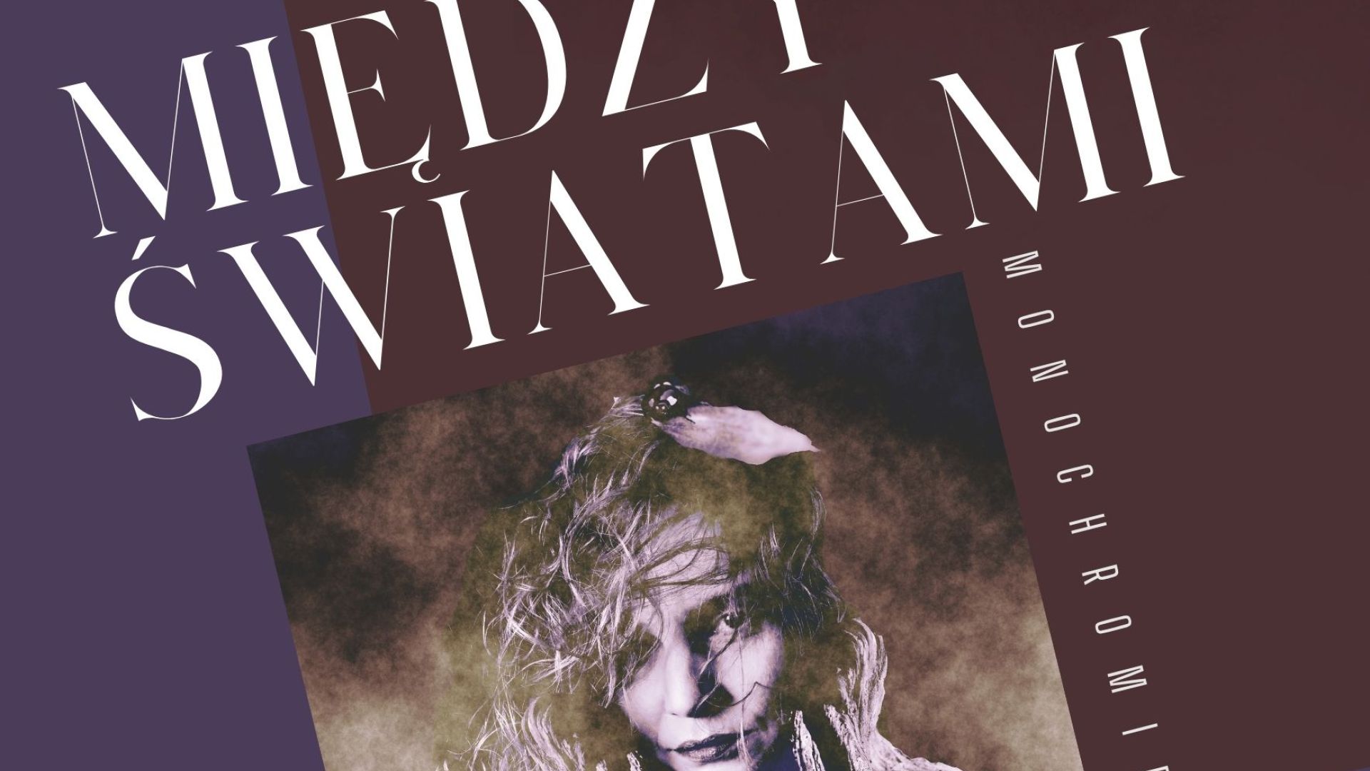 Wernisaż wystawy fotografii Magdaleny Szczykutowicz w Kielcach