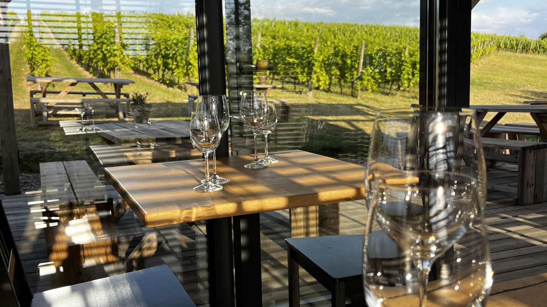 Bistro w Winnicy Terra
