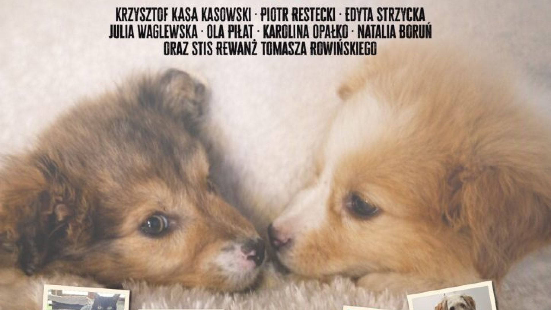 „Pełna Micha” – koncert charytatywny w WDK w Kielcach