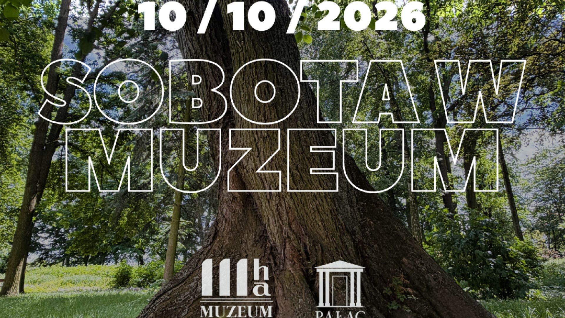 Sobota w Muzeum - Światowy Dzień Drzewa w Ostrowcu Świętokrzykrzyskim