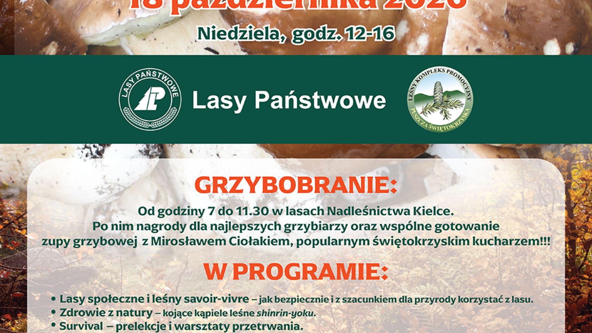 Dary Świętokrzyskich Lasów