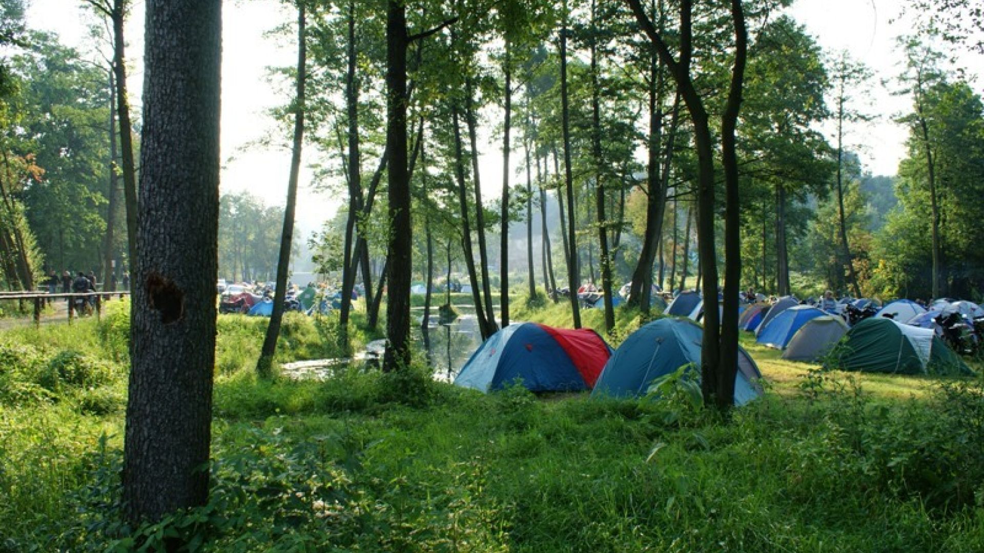 Pole namiotowe i kempingowe w Bałtowie