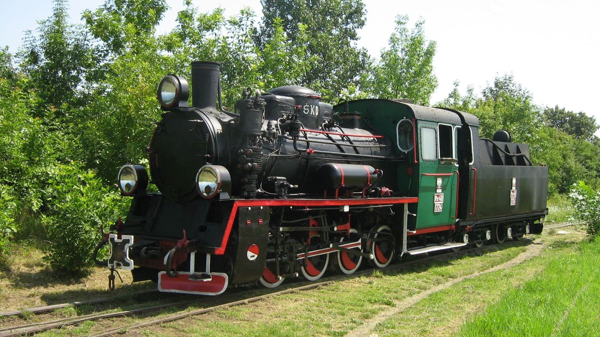 Kurs Ciuchcią Express Ponidzie