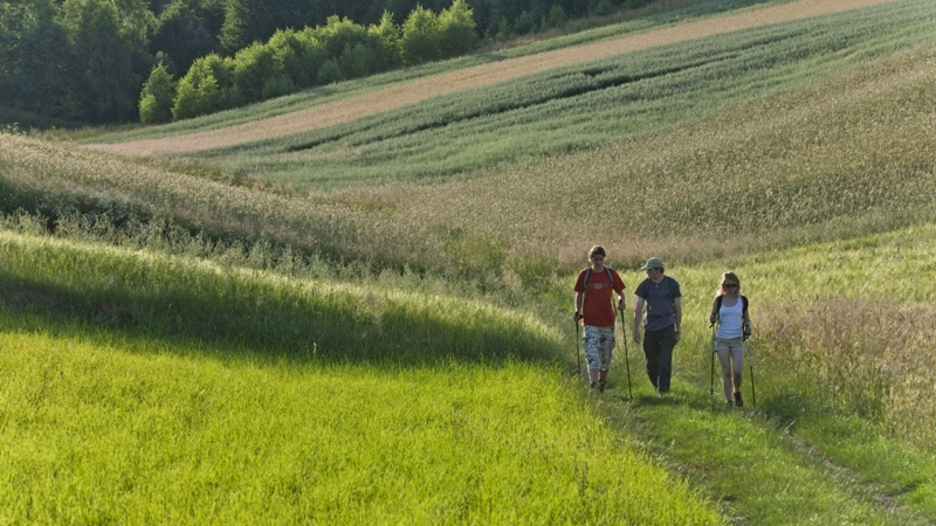 Wycieczka piesza ze Stowarzyszeniem ZIEMIA ŚWIĘTOKRZYSKA
