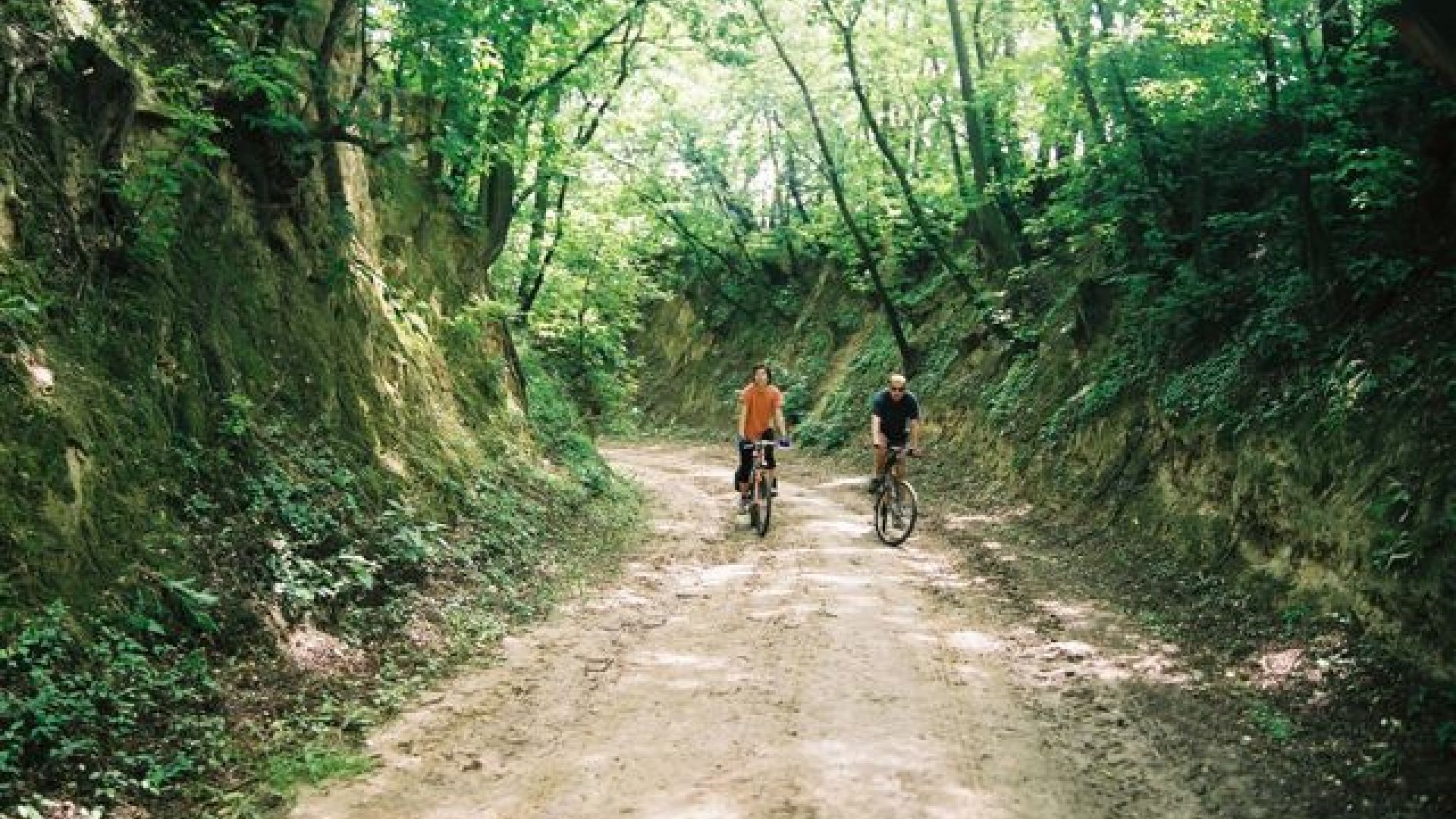 Sandomierz - Opatów Route