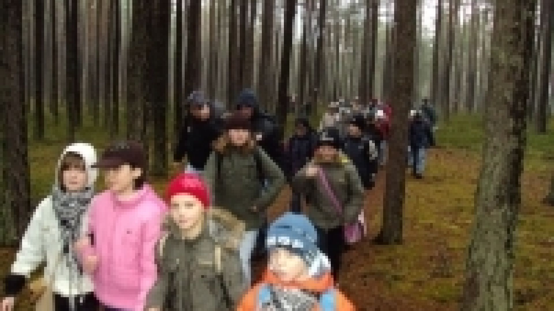 Independence Rally through the Końskie Surroundings