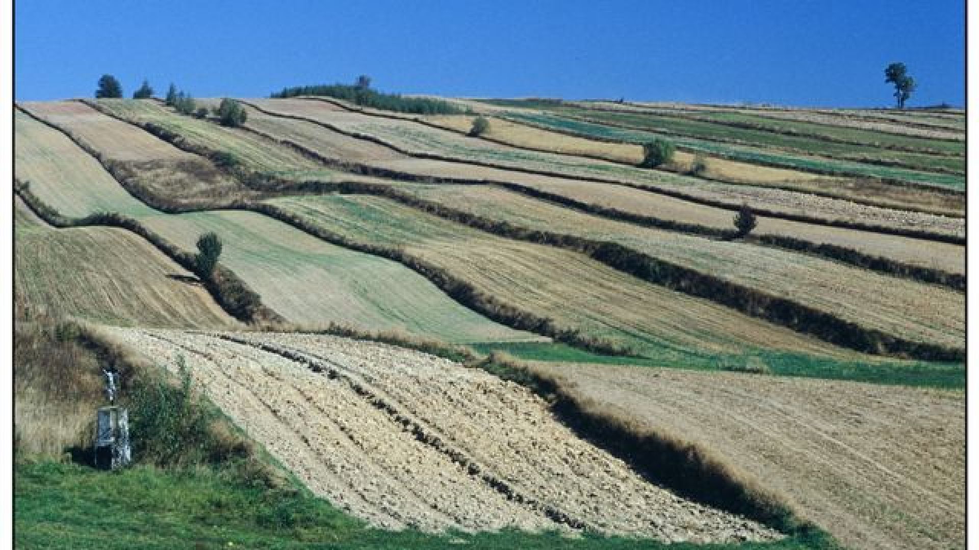 From Święta Katarzyna to Bodzentyn