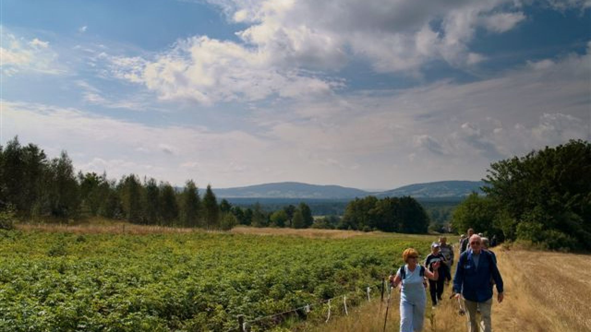 Poznajemy Sieradowicki Park Krajobrazowy