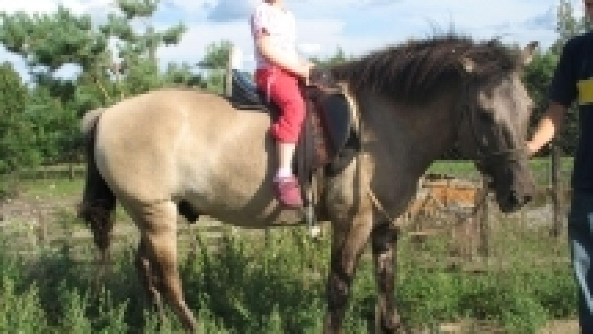 Horse Land – Equestrian Center in Bałtow