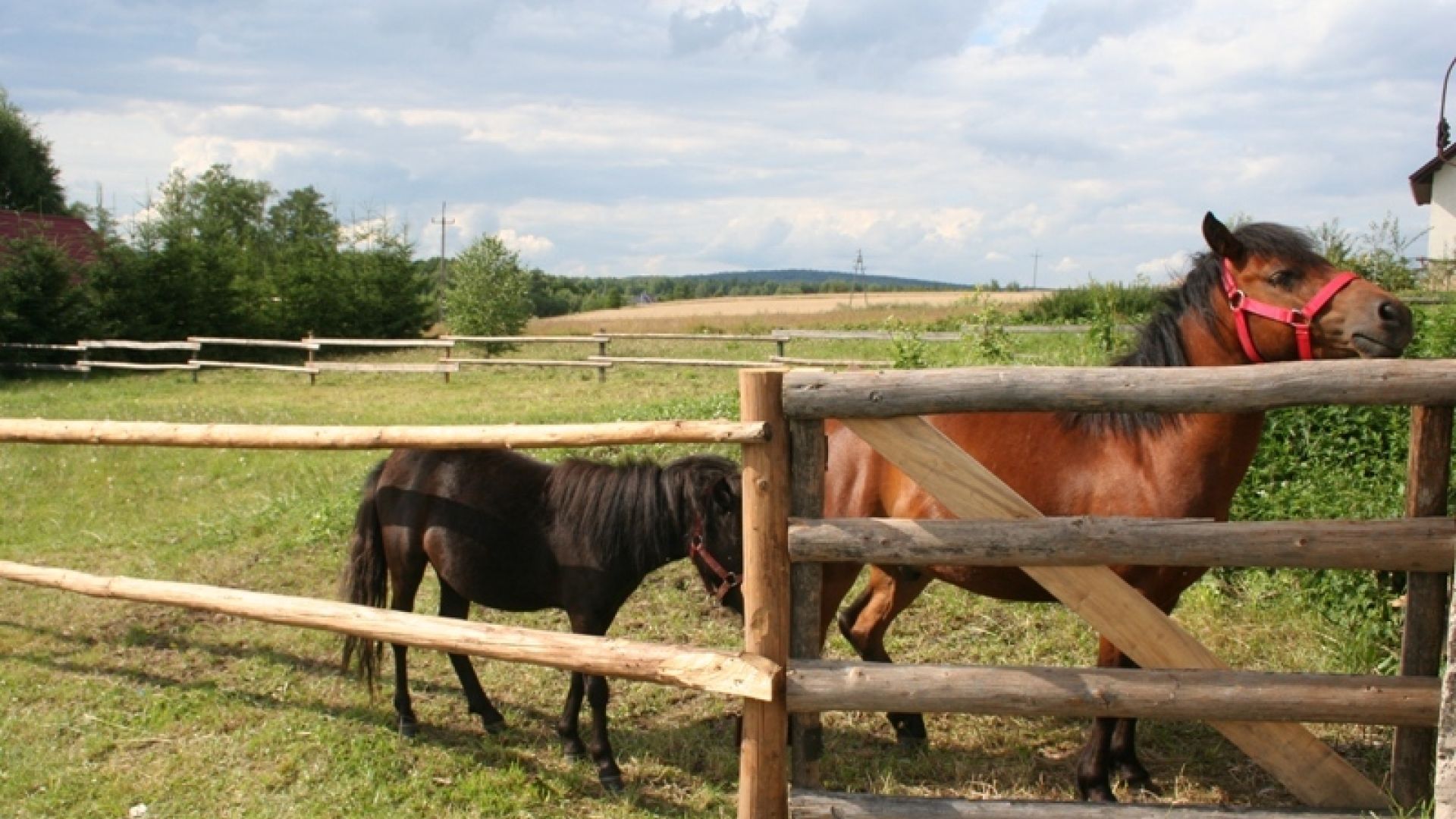 Świętokrzyskie Rehabilitation Center in Czarniecka Góra