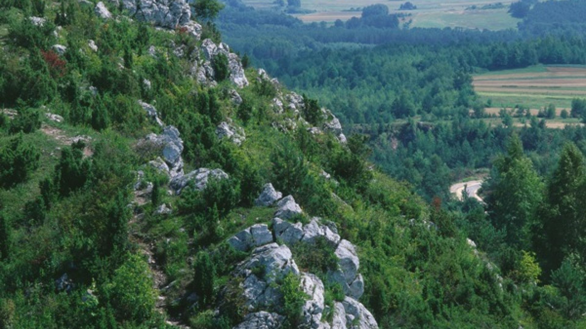 Mt Miedzianka – Nature Reserve