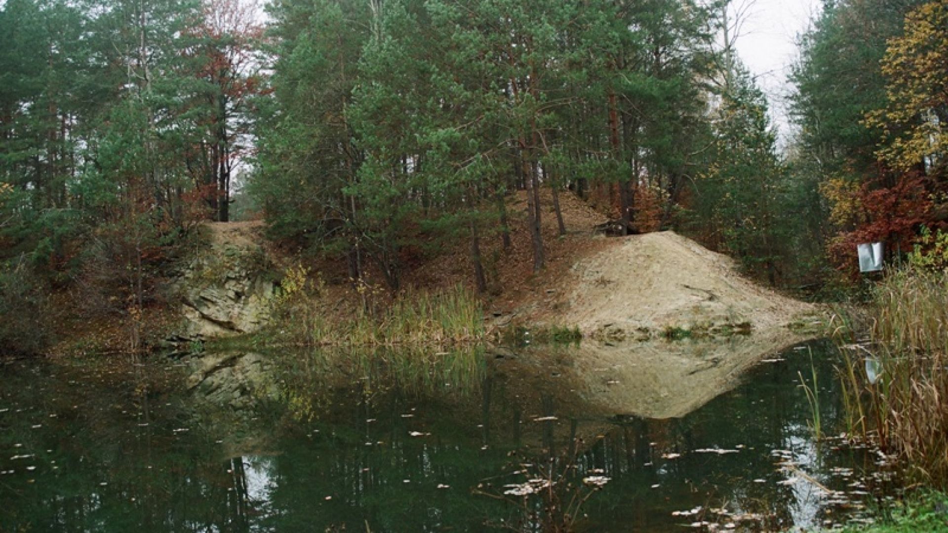 Rezerwat geologiczny Biesak-Białogon