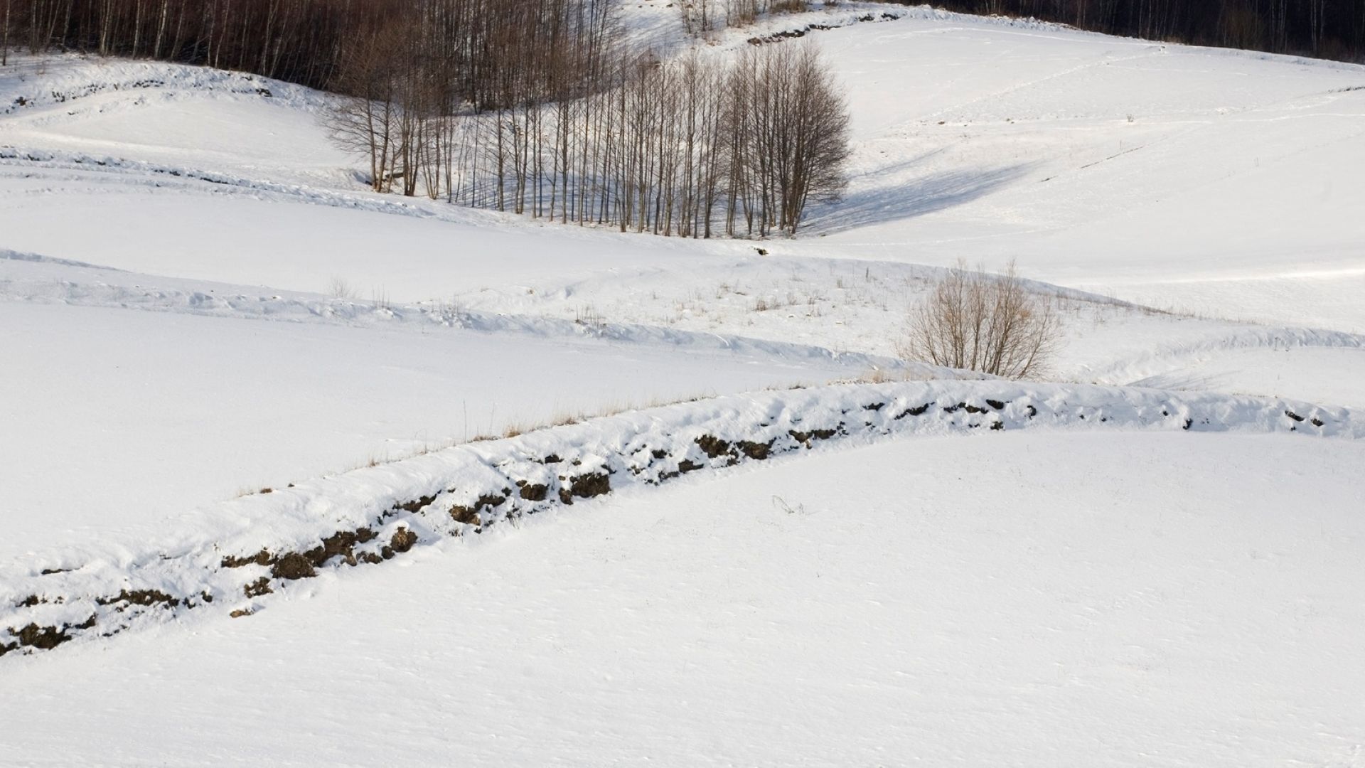 Cross-country skis