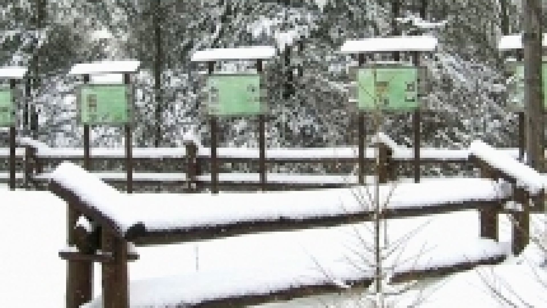 Winterwanderung: um Końskieregion herum