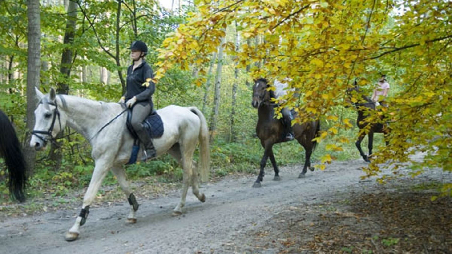 AMAZONKA Equestrain Center