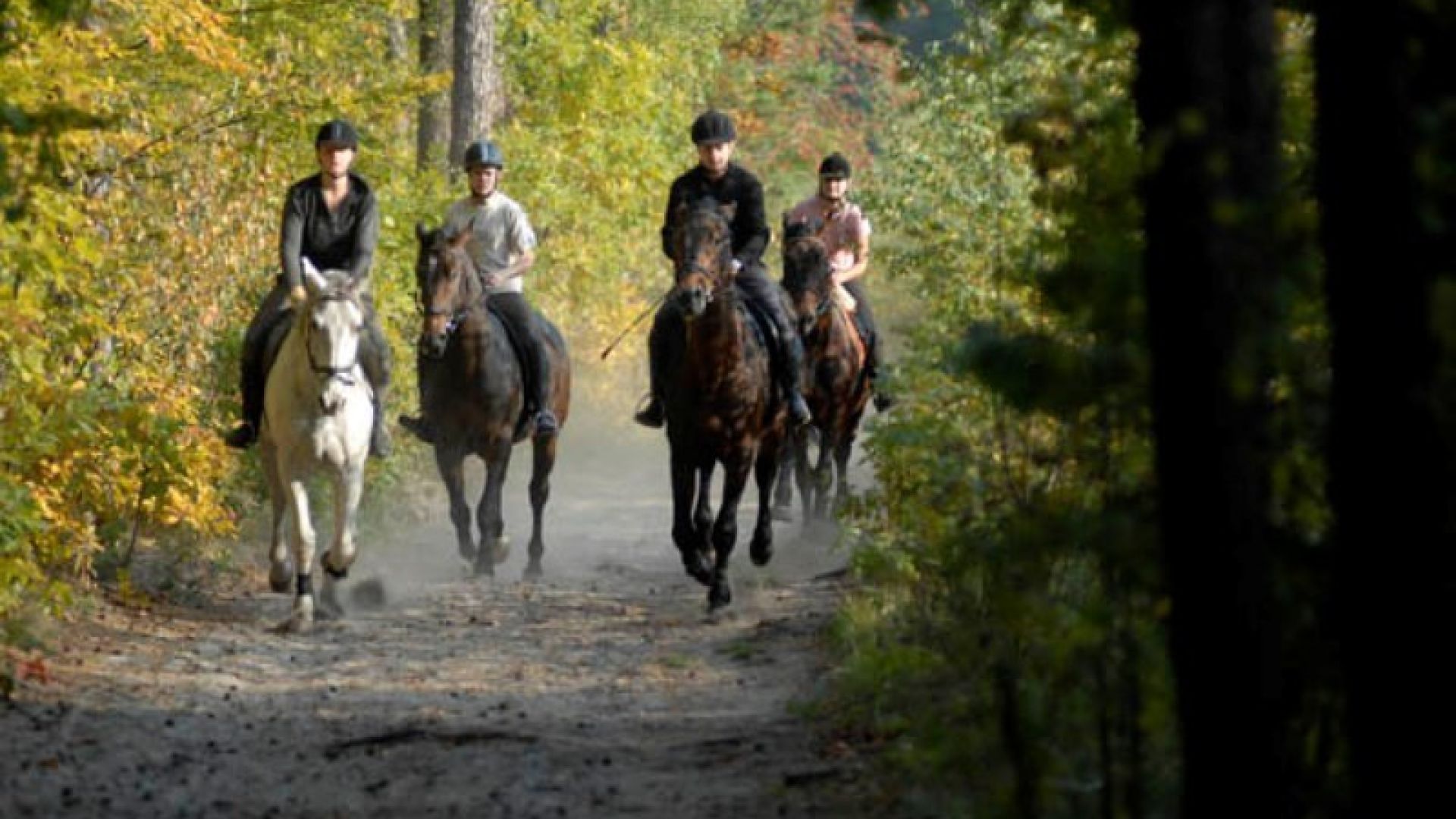 ŚWIĘTOKRZYSKI Equestrain Center