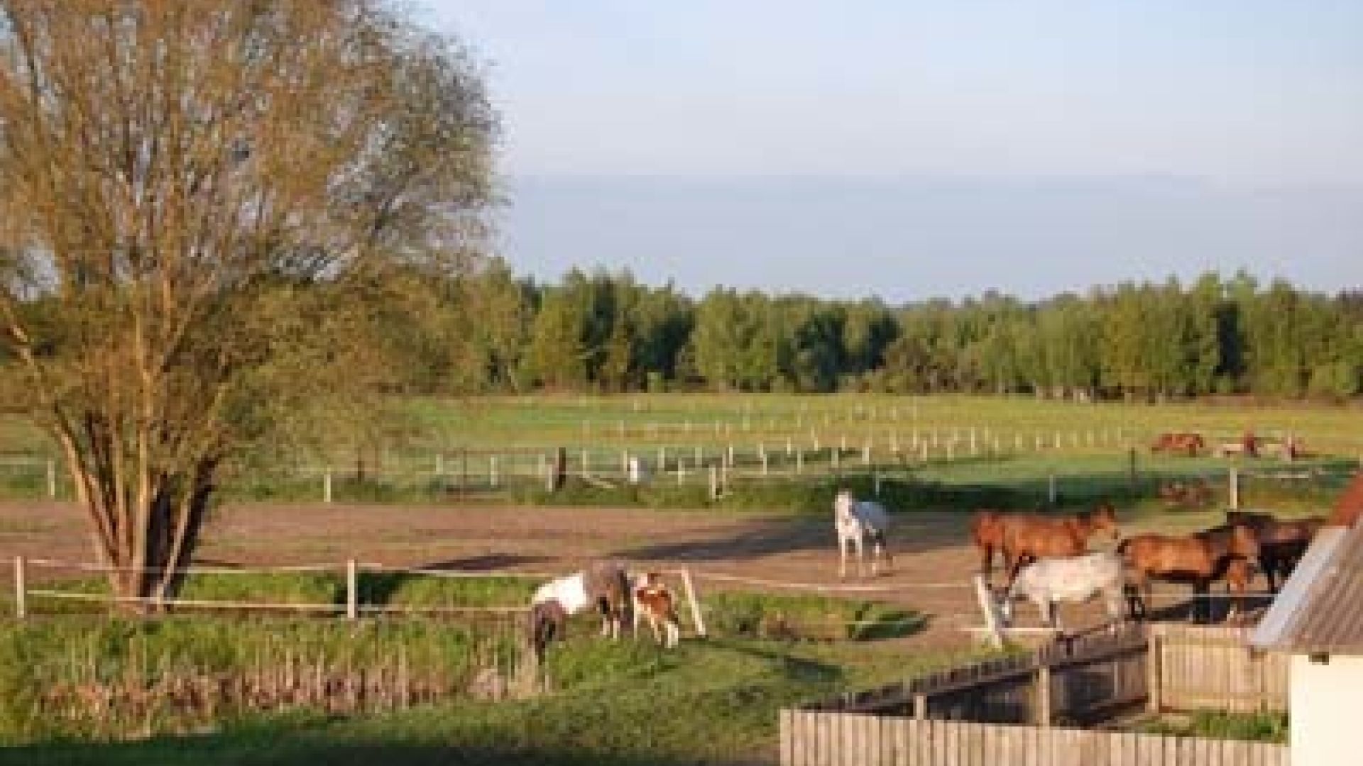 U CYPISA Agrotourist Farm