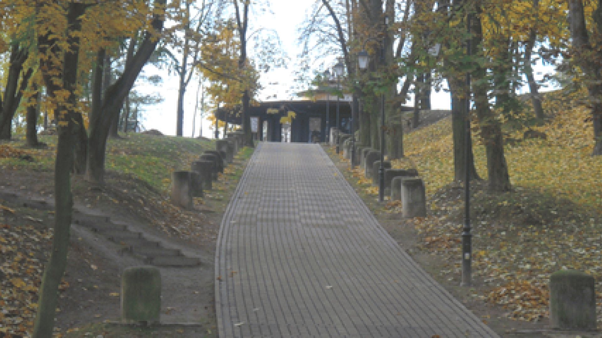 Park linowy "Ścieżka Tarzana" w Parku Piszczele w Sandomierzu