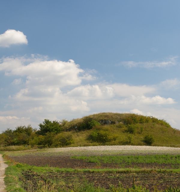 Rezerwat florystyczny Przęślin