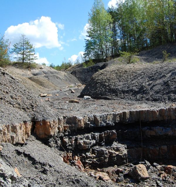 Gagaty Sołtykowskie