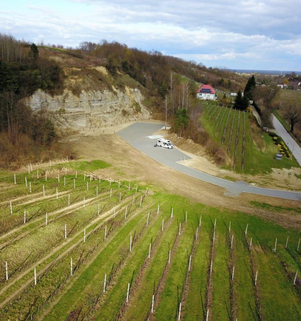 Winnica Sandomierska