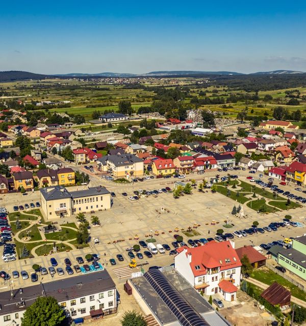 Daleszyce - w naturze i historii