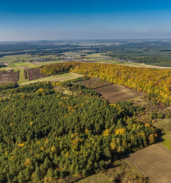 Ziemia Włoszczowska - w otulinie przyrody i historii
