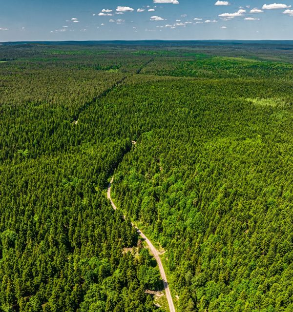 „Leśne Dukty” – Lasy Starachowickie