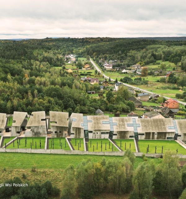 Z Michniowa na Kamień Michniowski - Lasy Sieradowickie