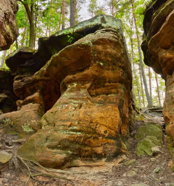 "Jak w Górach Stołowych" - Lasy Niekłańskie