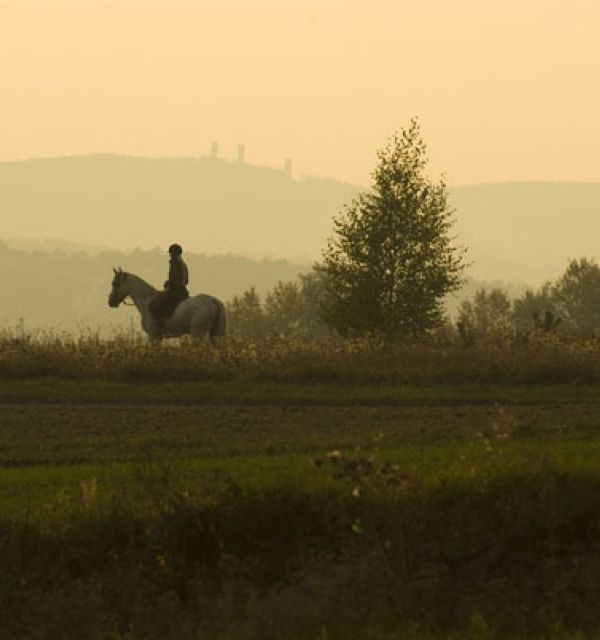Ośrodek Jeździecki "Stangret" w Kielcach