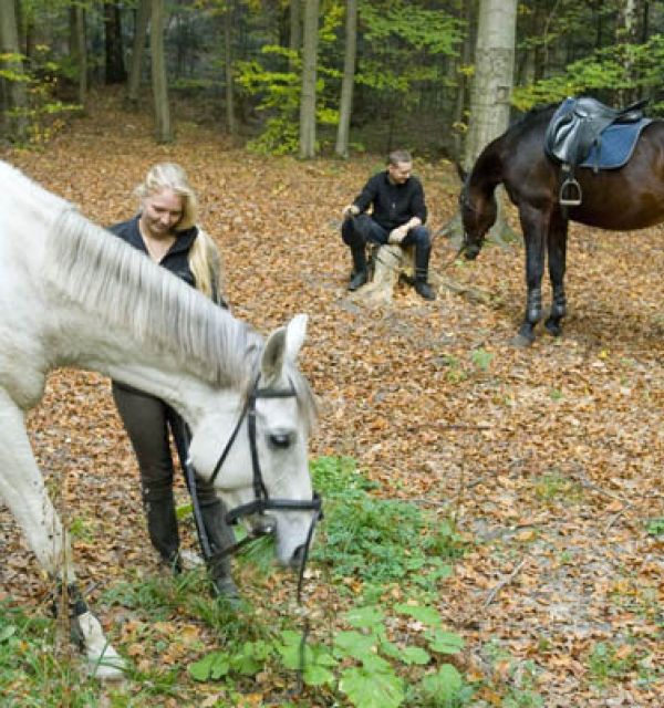 Ośrodek Jazdy Konnej "Kraina Koni"