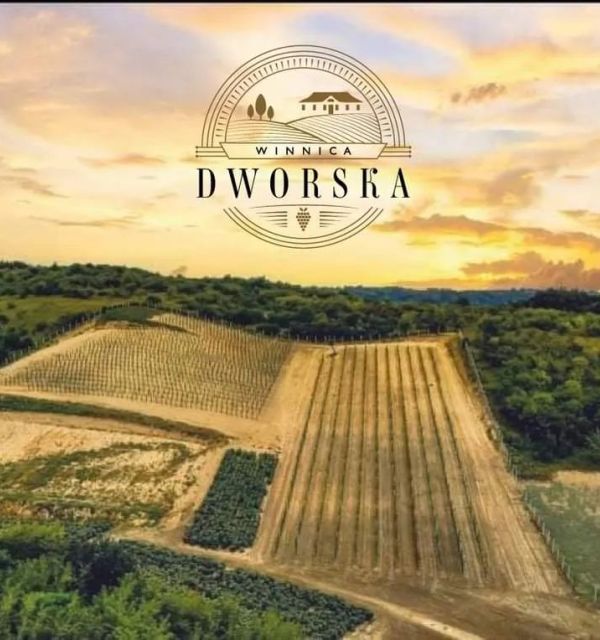 Winnica Dworska w Słupczy