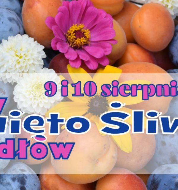27. Święto Śliwki w Szydłowie