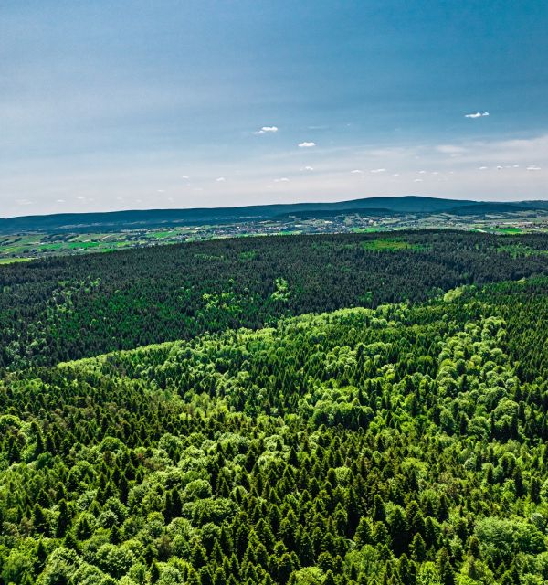 Poznajemy Sieradowicki Park Krajobrazowy
