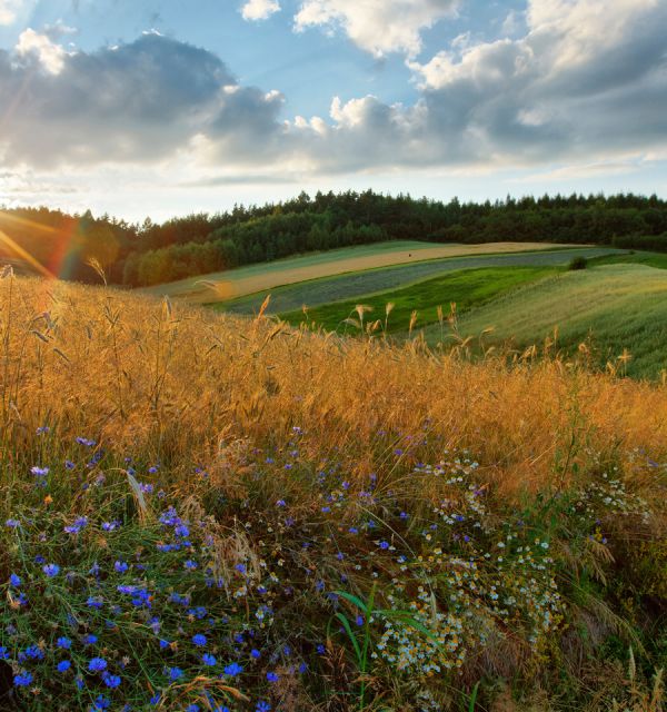 Sieradowicki Park Krajobrazowy