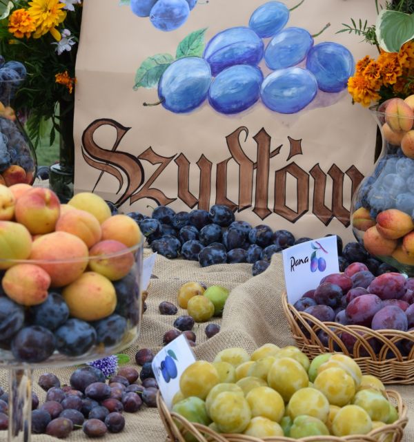 28. Święto Śliwki w Szydłowie