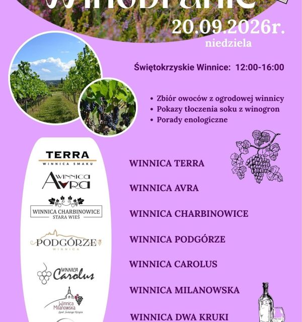 Winobranie w Ogrodzie Botanicznym w Kielcach