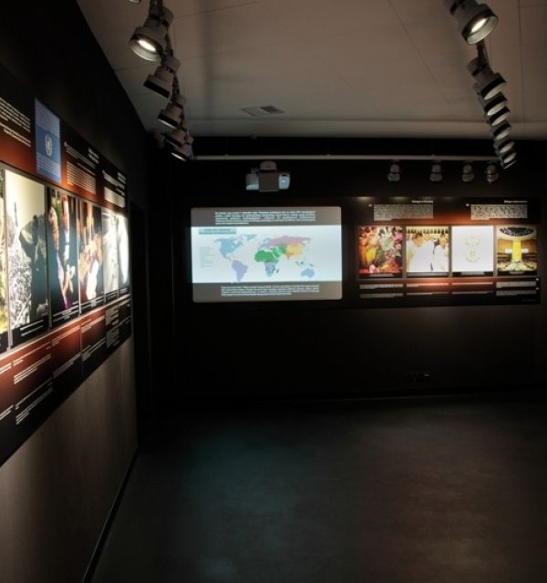 Muzeum Dialogu Kultur