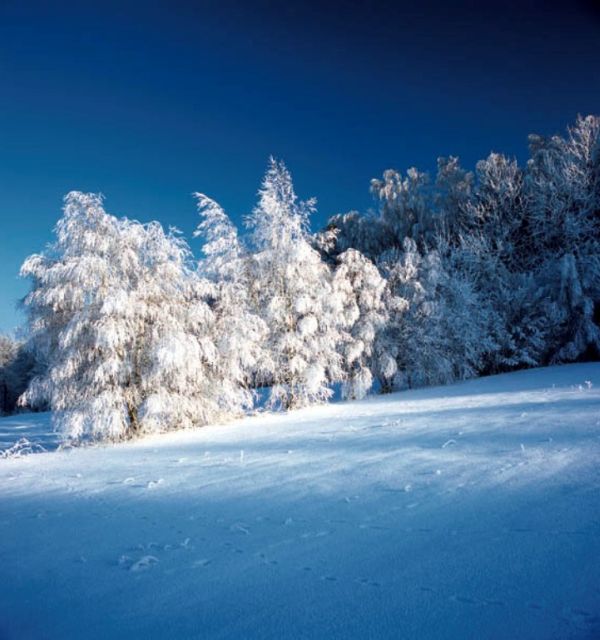 Narciarska trasa biegowa - Stadion Leśny w Kielcach