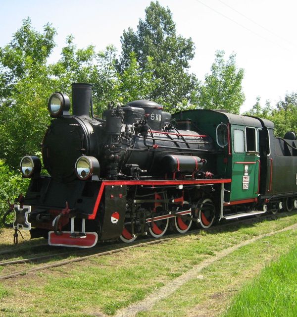 Kurs Ciuchcią Express Ponidzie