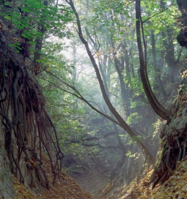 Wąwóz Królowej Jadwigi