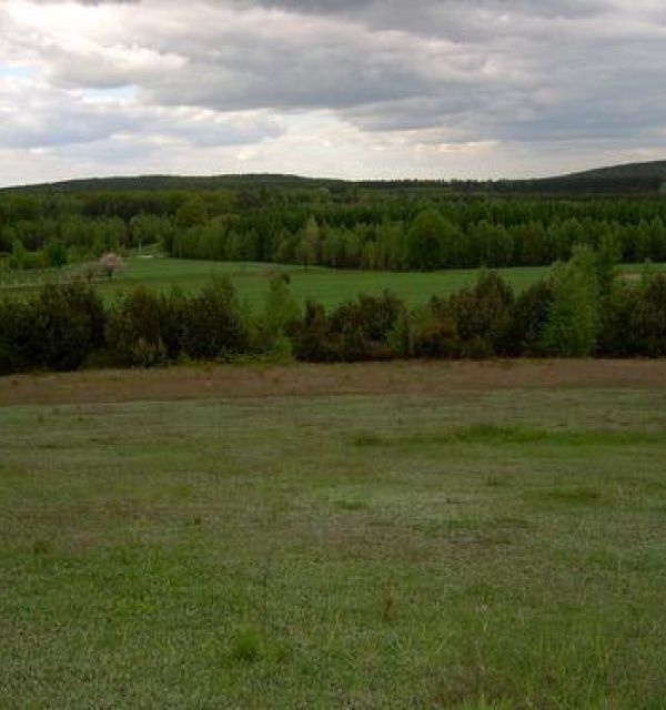 Przedborski Park Krajobrazowy