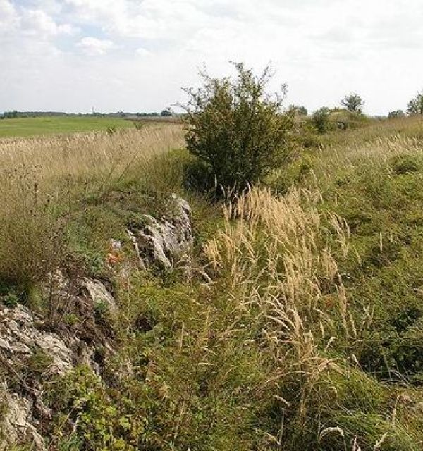 Rezerwat Góry Wschodnie