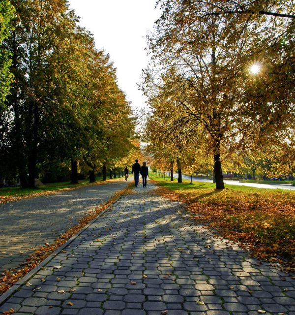 Szlaki piesze po Kielcach - niebieski